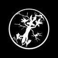 Cracked Tree Circle Vinyl Decal Sticker