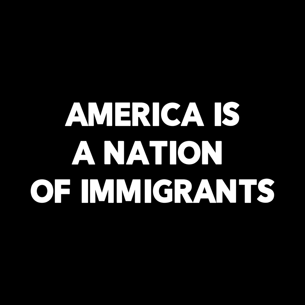 America Is A Nation Of Immigrants Vinyl Decal Sticker