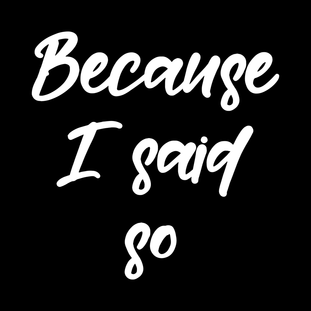 Because I Said So Vinyl Decal Sticker