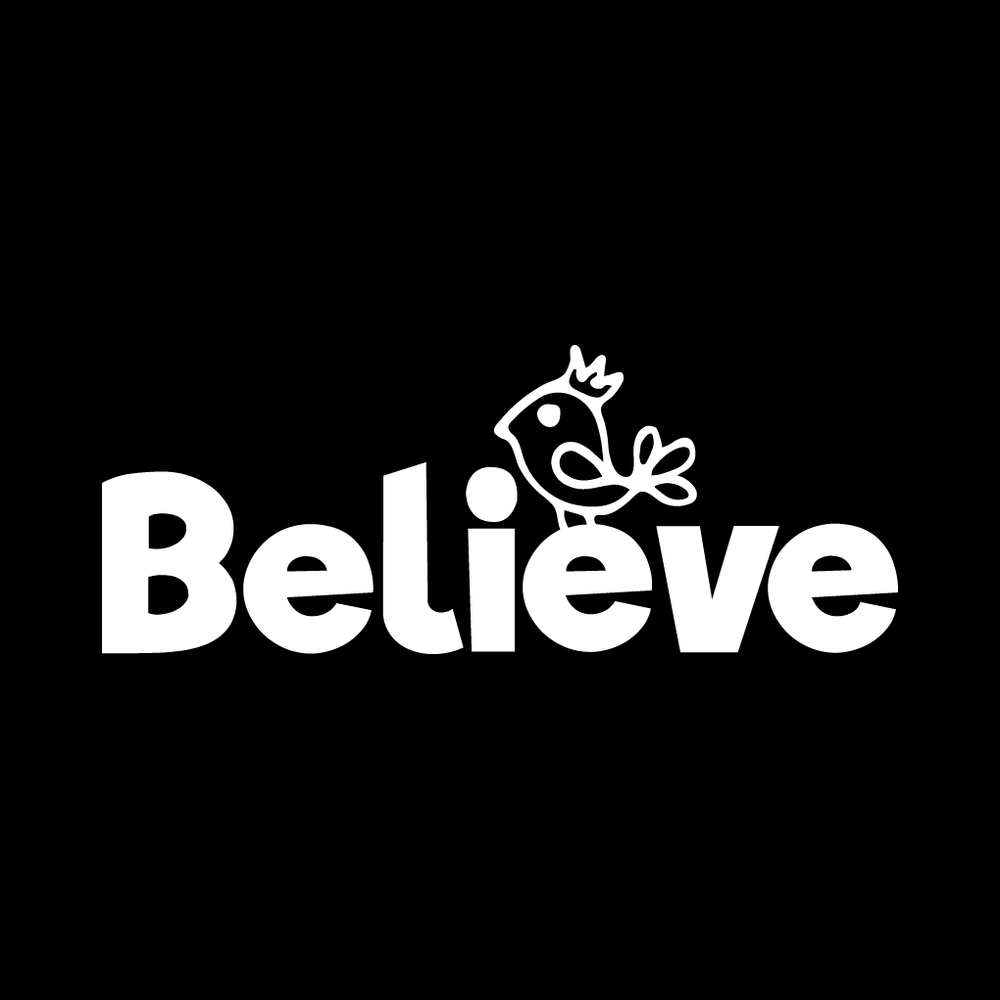 Believe Vinyl Decal Sticker