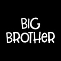 Big Brother Vinyl Decal Sticker