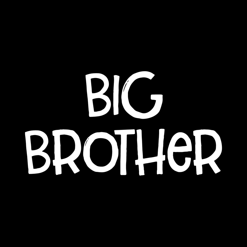 Big Brother Vinyl Decal Sticker