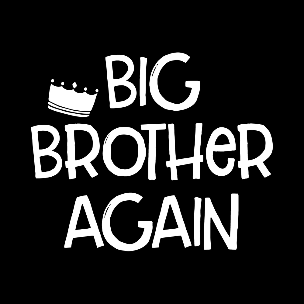 Big Brother Again Vinyl Decal Sticker