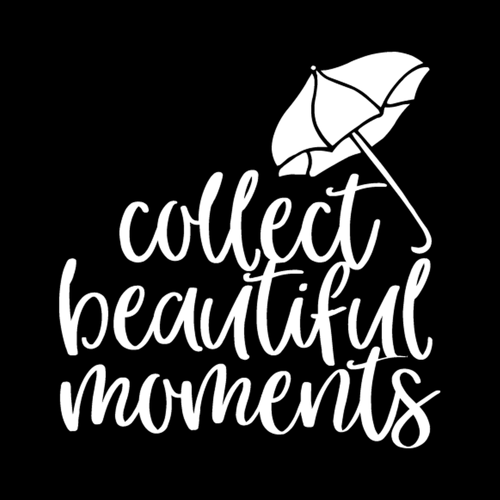 Collect Beautiful Moments Vinyl Decal Sticker