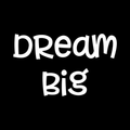 Dream Big Vinyl Decal Sticker