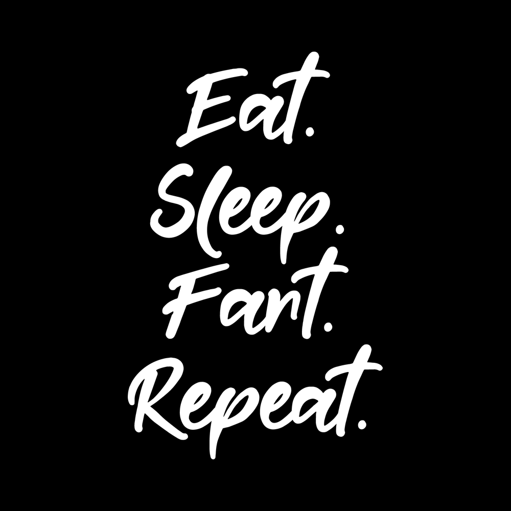 Eat Sleep Fart Repeat Vinyl Decal Sticker