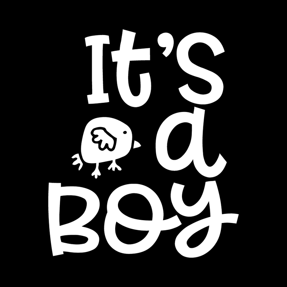 Its A Boy Vinyl Decal Sticker