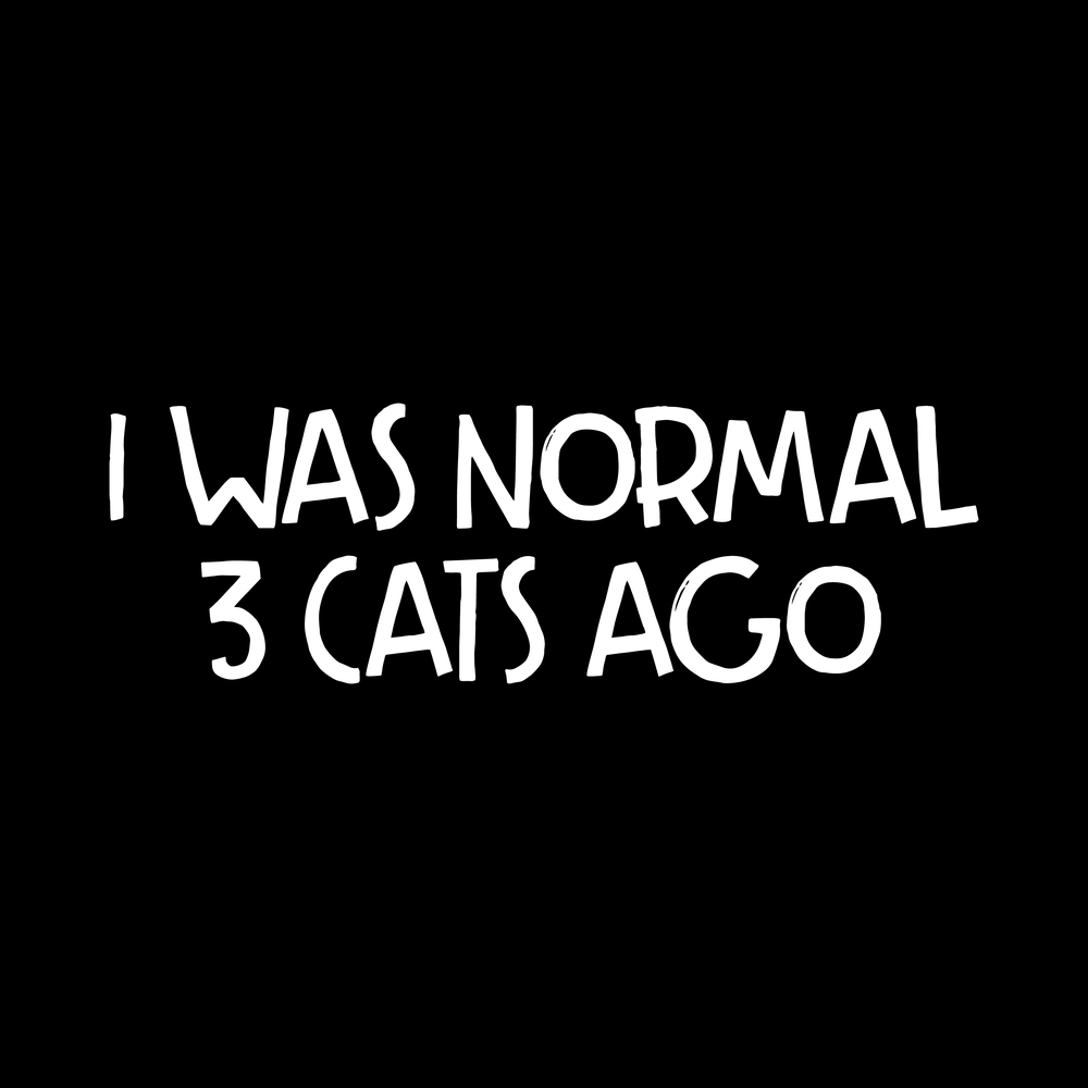 I Was Normal 3 Cats Ago Vinyl Decal Sticker