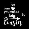 Promoted To Big Cousin Vinyl Decal Sticker