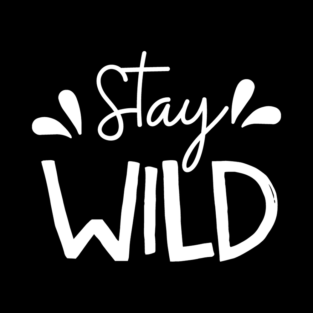 Stay Wild Vinyl Decal Sticker