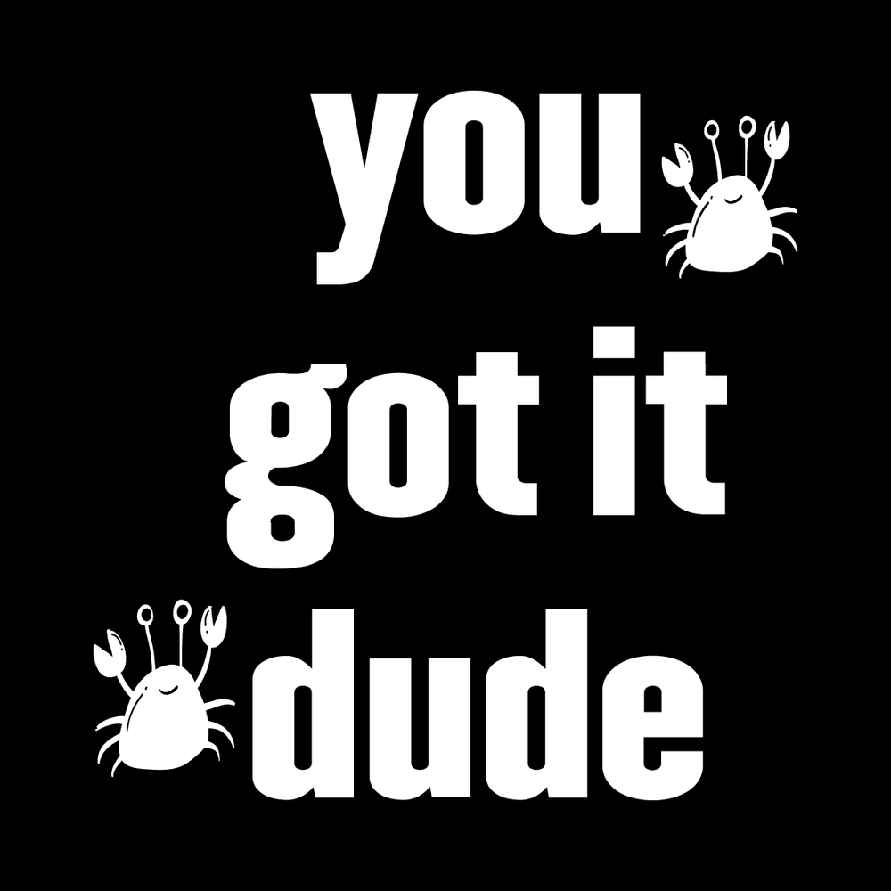 You Got It Dude Vinyl Decal Sticker